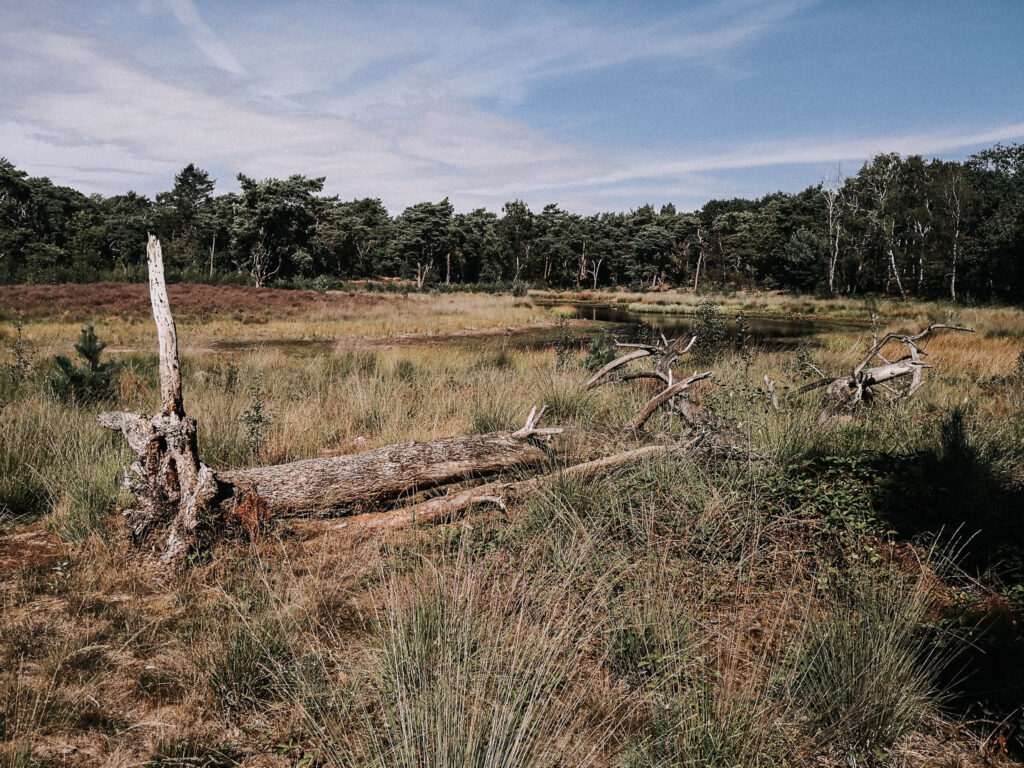 landschap-noord-limburg