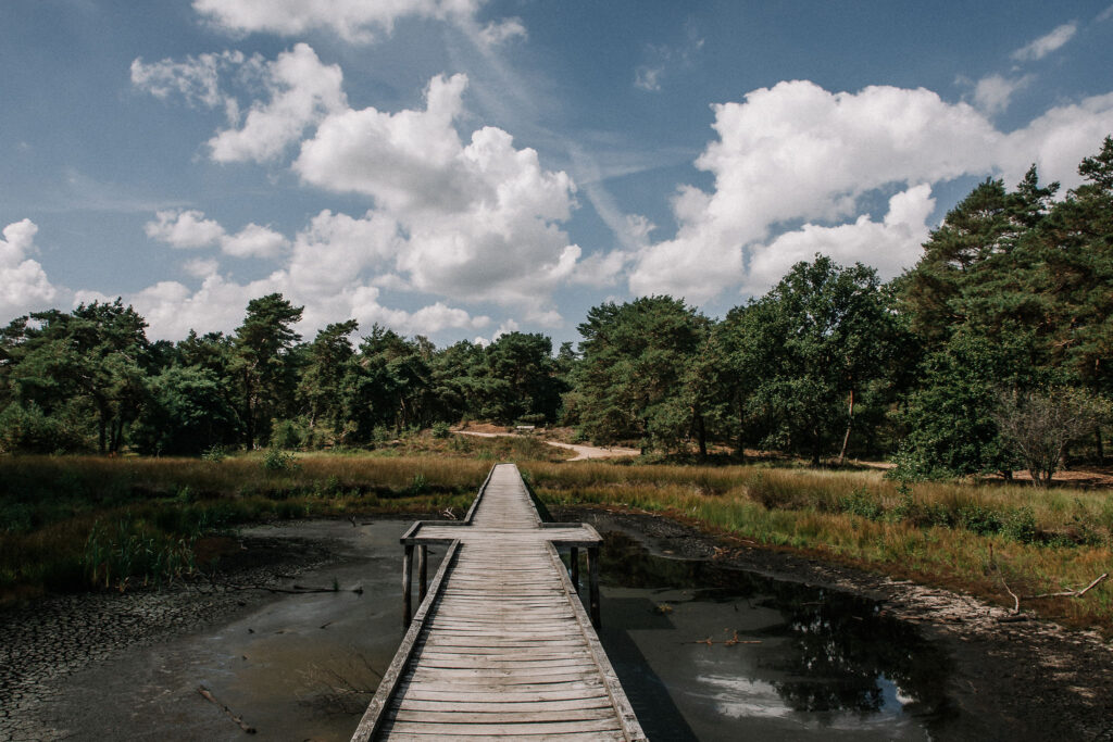 wandelen-noord-limburg