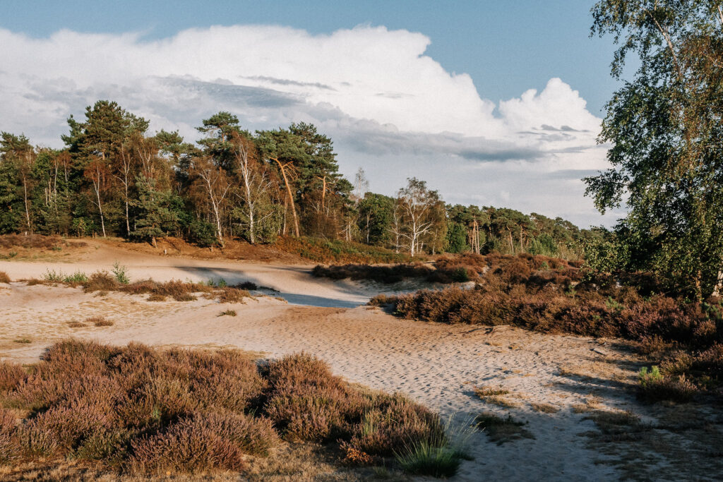 noord-limburg