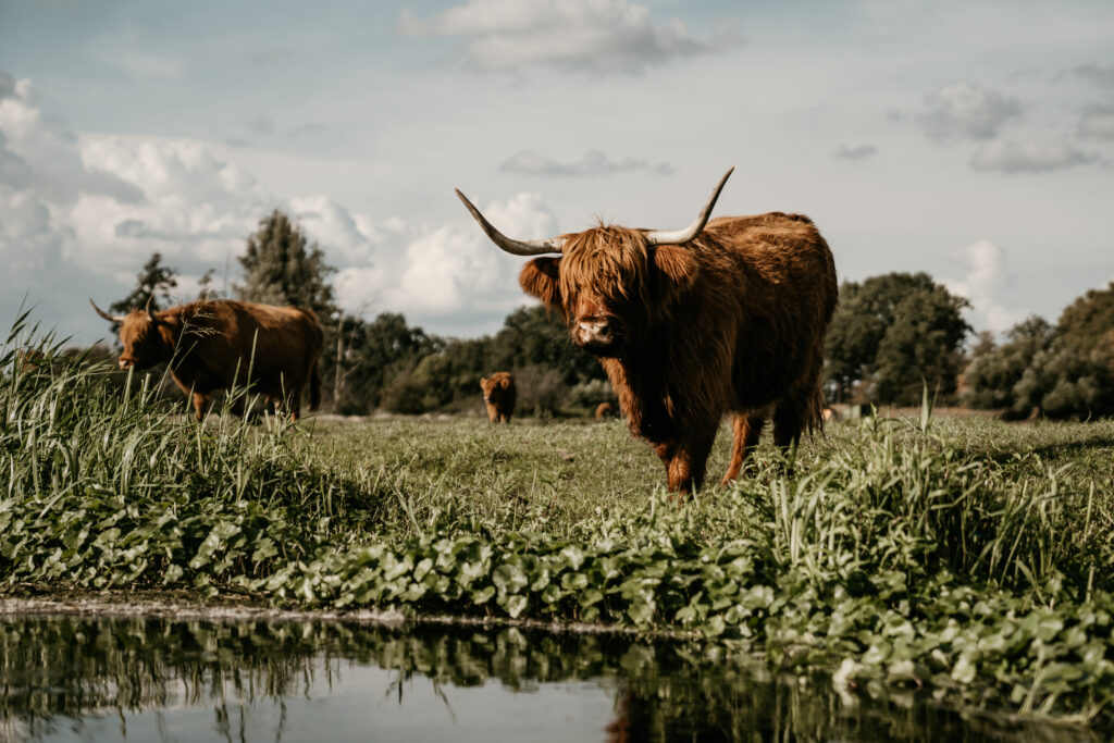 nationaal-park-bezoeken-in-limburg